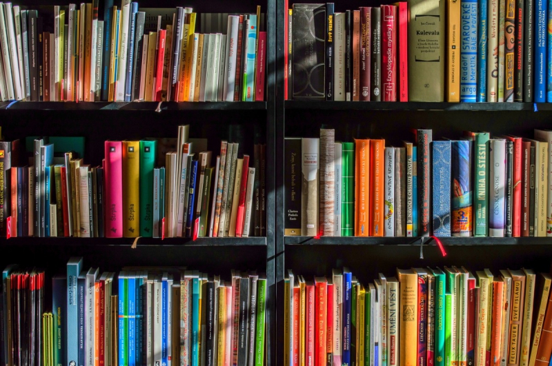 ecommerce-MANDELIEU LA NAPOULE-min_books_bookstore_book_reading_shop_writer_sale_books_read-822866